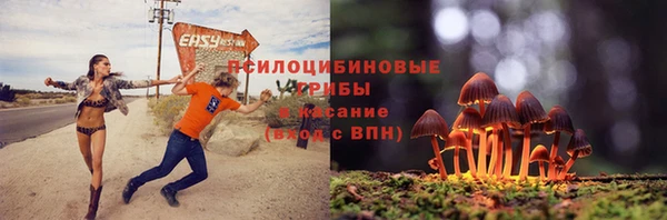 тгк Нея