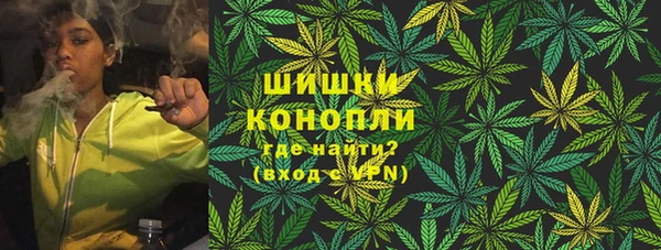 тгк Нея