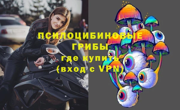 тгк Нея