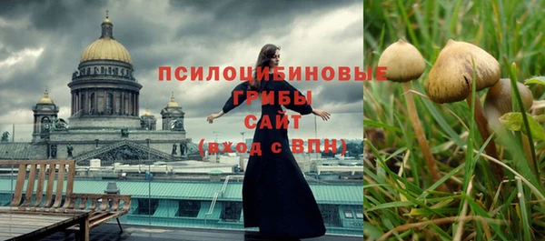 тгк Нея
