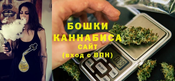 тгк Нея